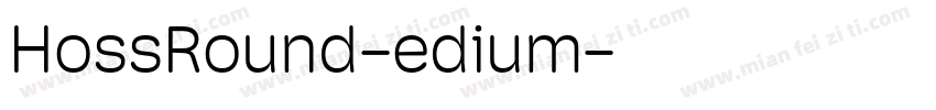 HossRound-edium字体转换