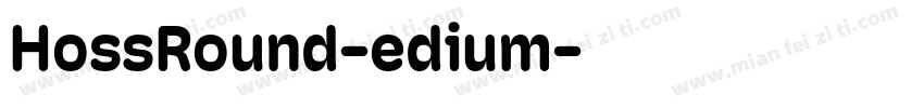HossRound-edium字体转换