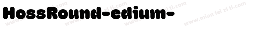HossRound-edium字体转换