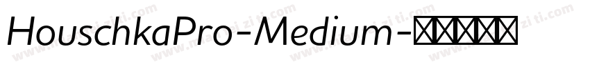 HouschkaPro-Medium字体转换