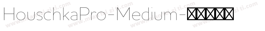 HouschkaPro-Medium字体转换
