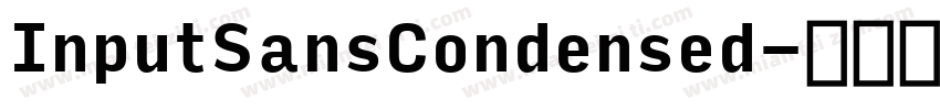InputSansCondensed字体转换