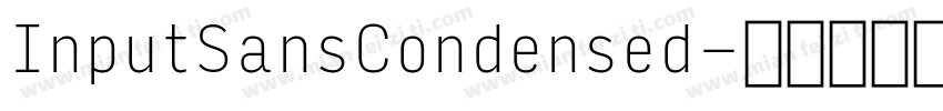 InputSansCondensed字体转换