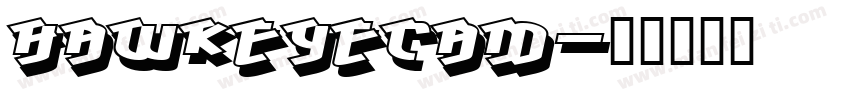 HawkeyeCam字体转换