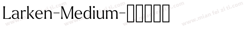 Larken-Medium字体转换