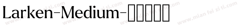 Larken-Medium字体转换
