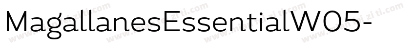 MagallanesEssentialW05字体转换