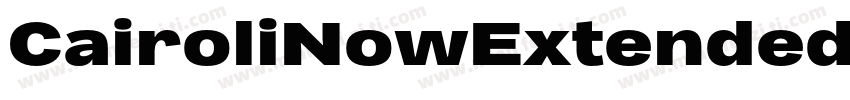 CairoliNowExtended字体转换