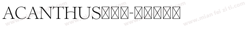 Acanthus手机版字体转换