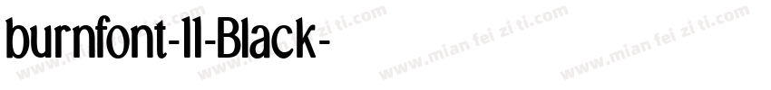 burnfont-11-Black字体转换