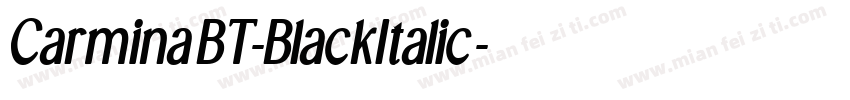 CarminaBT-BlackItalic字体转换