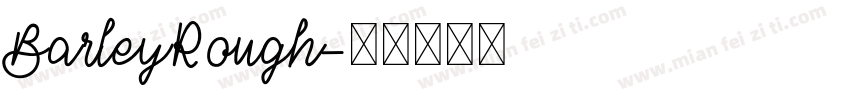 BarleyRough字体转换
