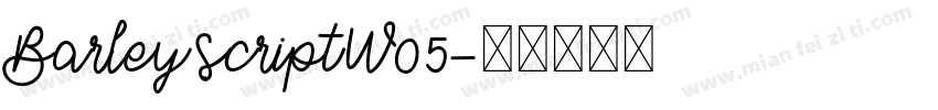 BarleyScriptW05字体转换