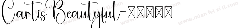 CartisBeautyful字体转换