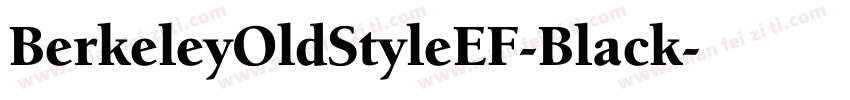 BerkeleyOldStyleEF-Black字体转换