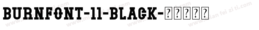 burnfont-11-Black字体转换
