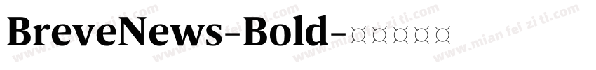 BreveNews-Bold字体转换