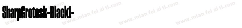SharpGrotesk-Black1字体转换