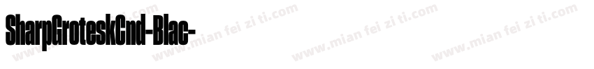 SharpGroteskCnd-Blac字体转换