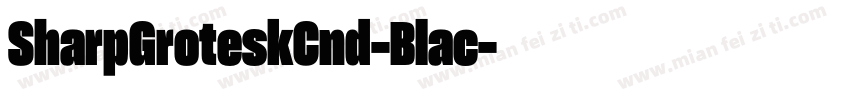 SharpGroteskCnd-Blac字体转换