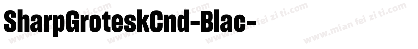 SharpGroteskCnd-Blac字体转换
