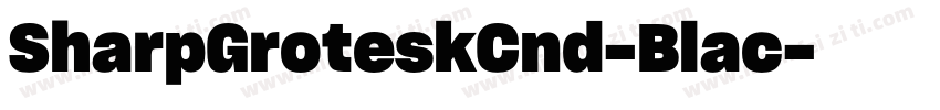 SharpGroteskCnd-Blac字体转换