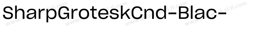 SharpGroteskCnd-Blac字体转换