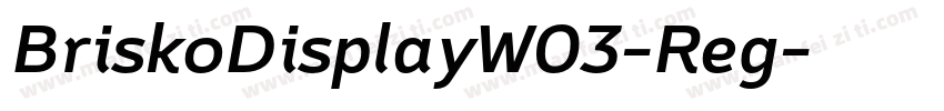 BriskoDisplayW03-Reg字体转换
