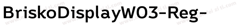 BriskoDisplayW03-Reg字体转换