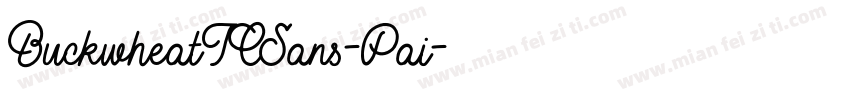 BuckwheatTCSans-Pai字体转换