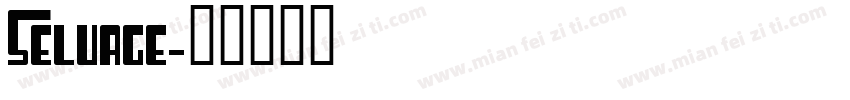 Selvage字体转换