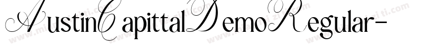 AustinCapittalDemoRegular字体转换