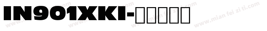 IN901XKI字体转换