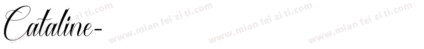 Cataline字体转换