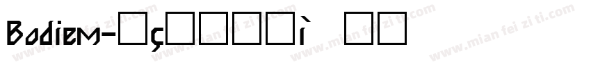 Bodiem字体转换
