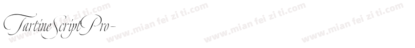 TartineScriptPro字体转换