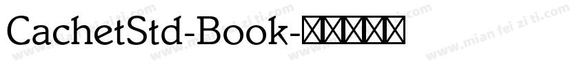 CachetStd-Book字体转换