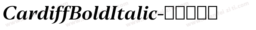 CardiffBoldItalic字体转换