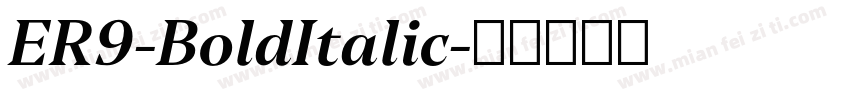 ER9-BoldItalic字体转换