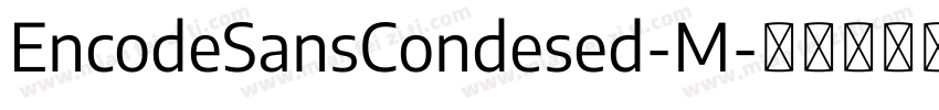 EncodeSansCondesed-M字体转换
