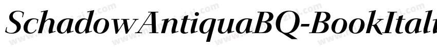 SchadowAntiquaBQ-BookItalic字体转换