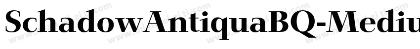SchadowAntiquaBQ-Medium字体转换
