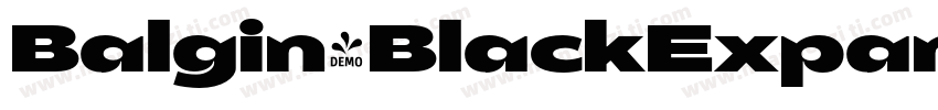 Balgin-BlackExpanded字体转换