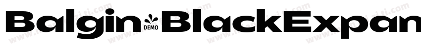 Balgin-BlackExpanded字体转换