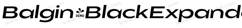 Balgin-BlackExpanded字体转换