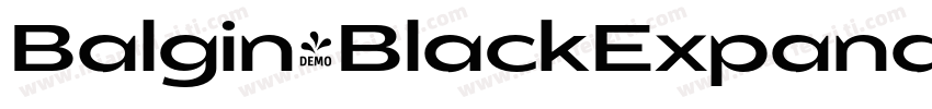 Balgin-BlackExpanded字体转换