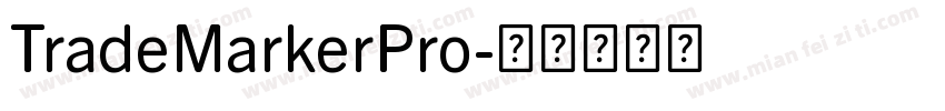 TradeMarkerPro字体转换