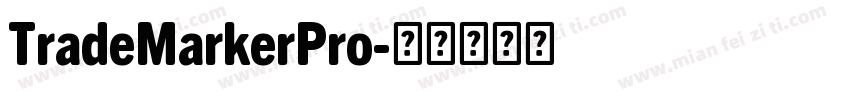 TradeMarkerPro字体转换