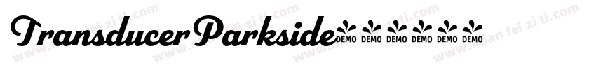 TransducerParkside字体转换