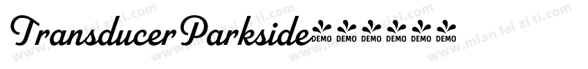 TransducerParkside字体转换
